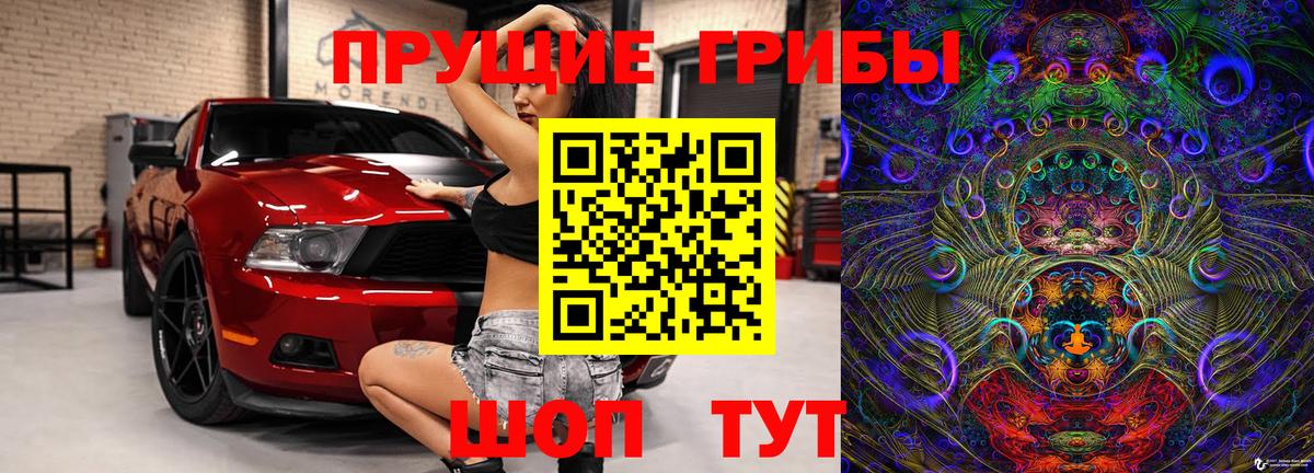Псилоцибиновые грибы Psilocybe Волжский