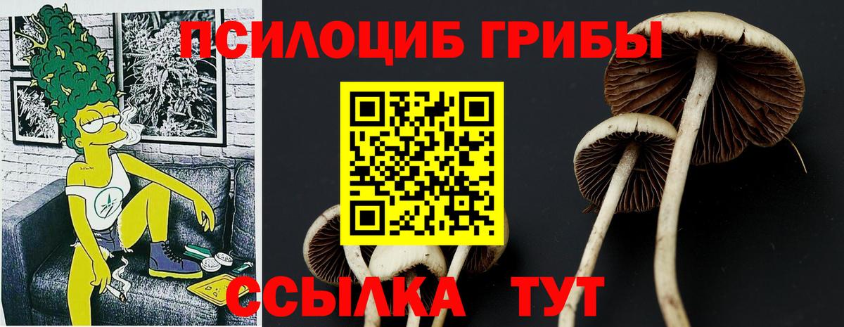Псилоцибиновые грибы мухоморы  Вход с VPN  Волжский  Псилоцибиновые грибы ЛСД 